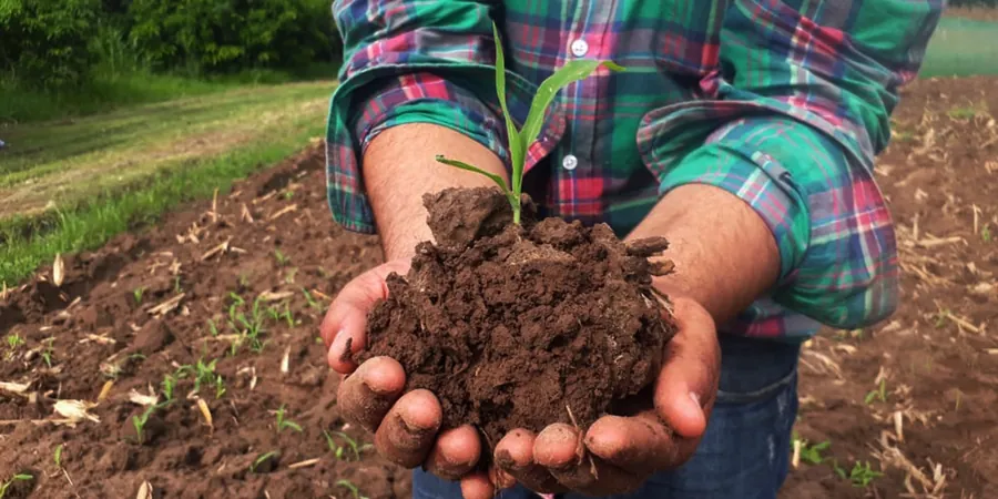 Illustrative image of Organic soil management in Modesto